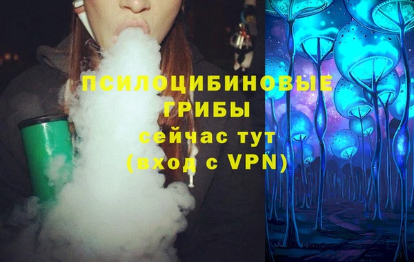 мяу мяу мука Куйбышев