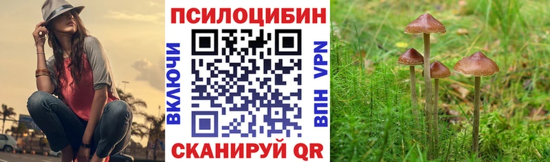 Галлюциногенные грибы GOLDEN TEACHER  omg как войти  Янаул 
